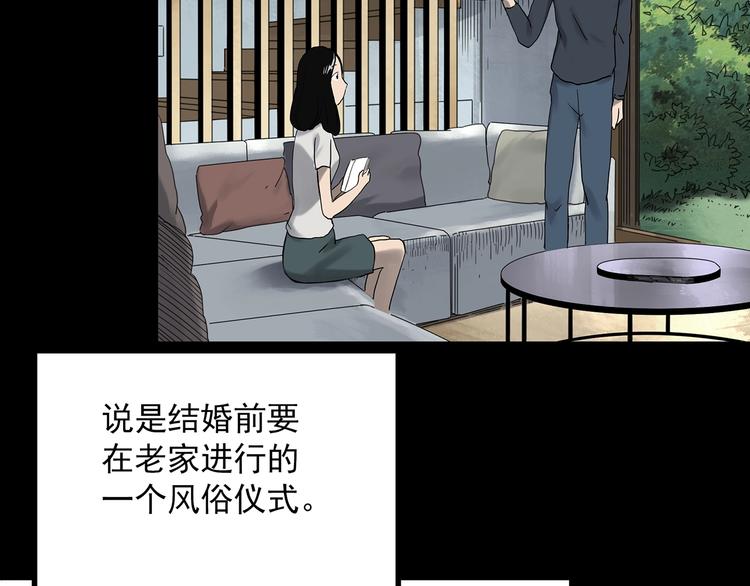 第330话 贞节橄榄树（上）12