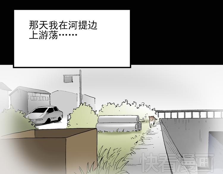 第31话 怪之猫（下）20