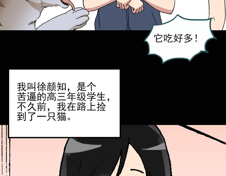 第28话 怪之猫(上)6