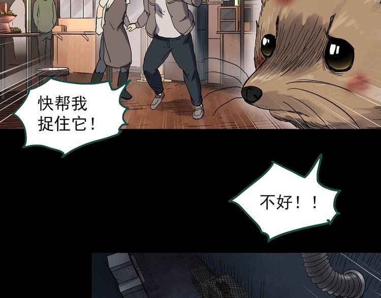 第271话 貂皮大衣 下12