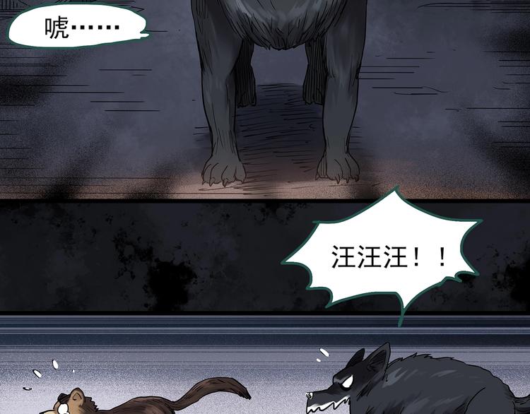 第270话 貂皮大衣 中26