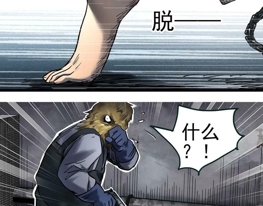 第453话 猪圈【下】58