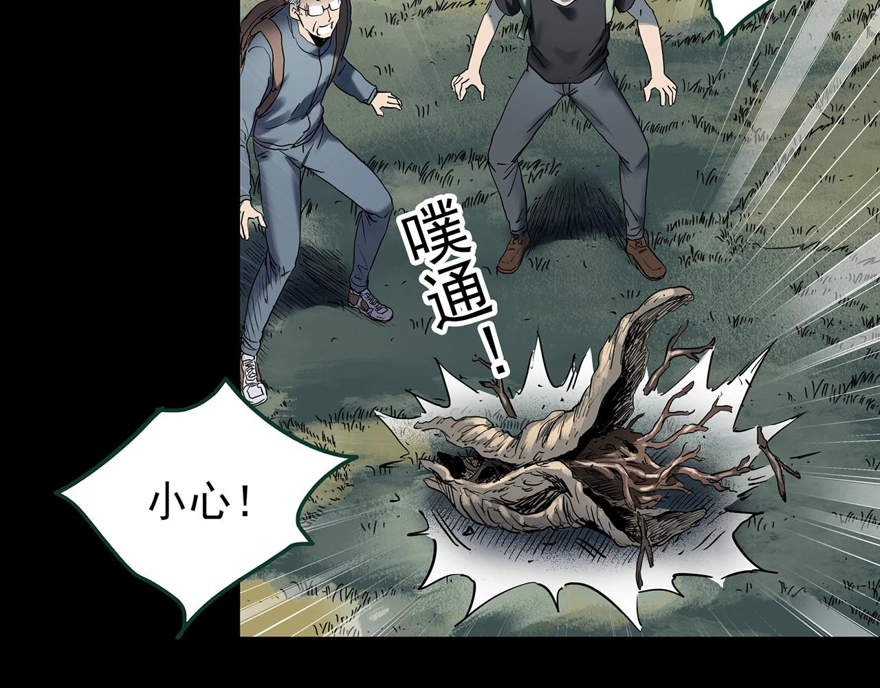 第427话 母亲树48