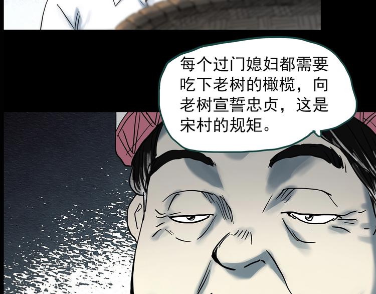 第330话 贞节橄榄树（上）130