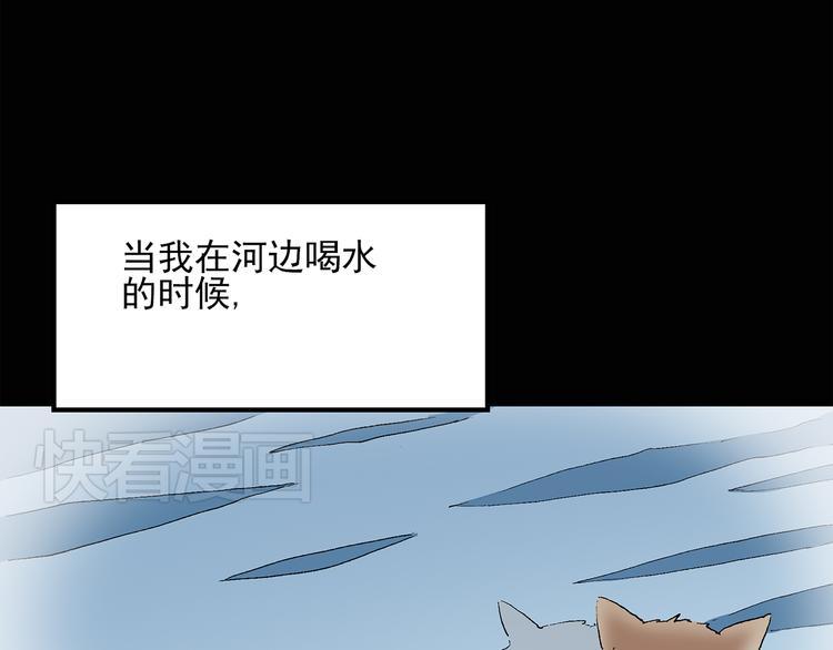 第31话 怪之猫（下）32