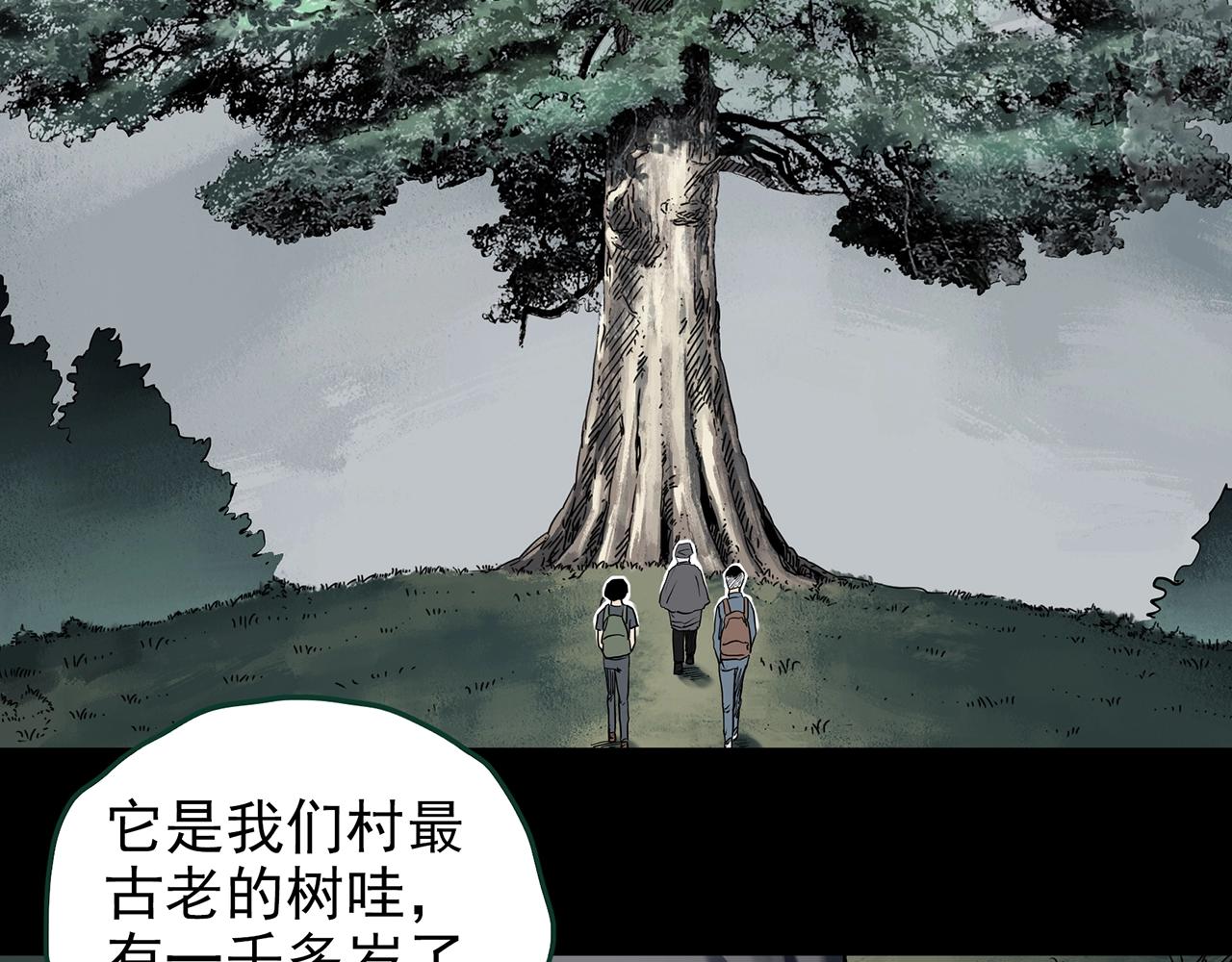 第427话 母亲树42