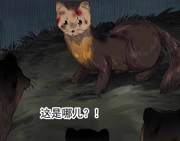 第271话 貂皮大衣 下24