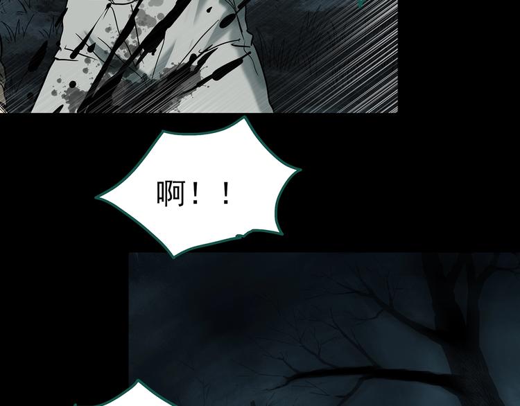 第336话 直播目击证人（上）31