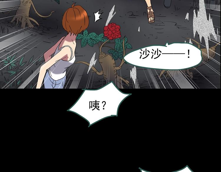 第211话 人参村（下）91