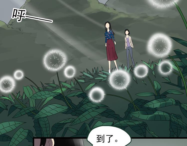 第215话 美丽的蒲公英(下)62