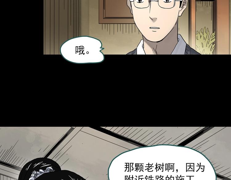 第330话 贞节橄榄树（上）60