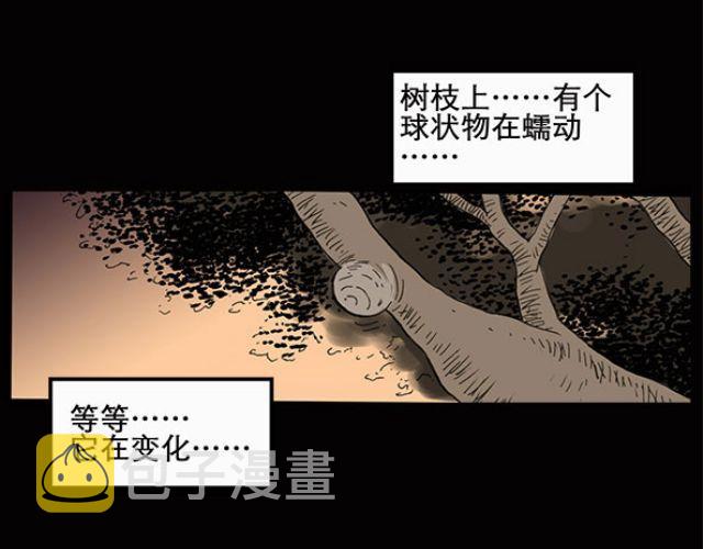 第10话 配偶树（上）13
