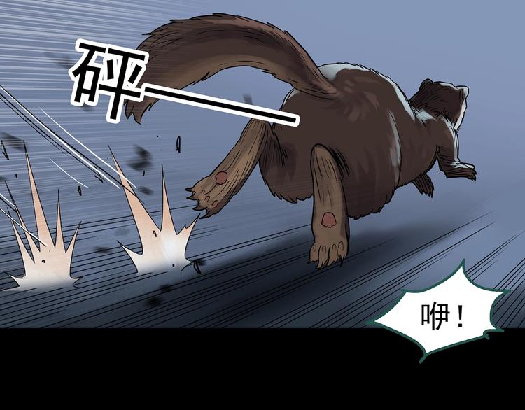 第270话 貂皮大衣 中17