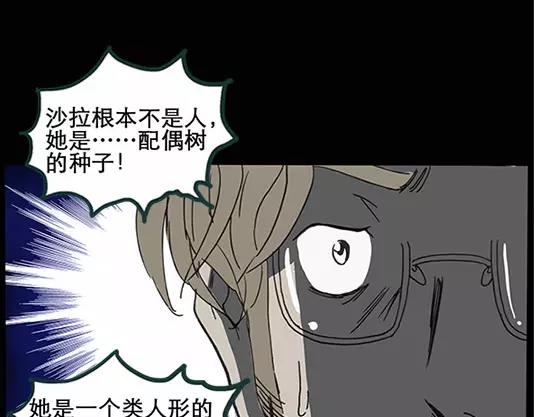 第12话 配偶树（下）37