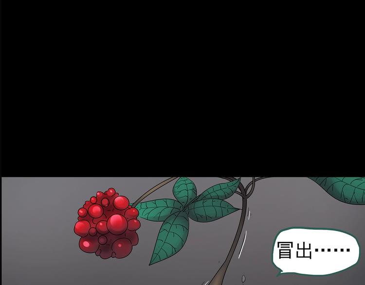 第211话 人参村（下）74