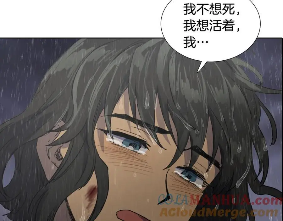 完结篇 她的沈清60