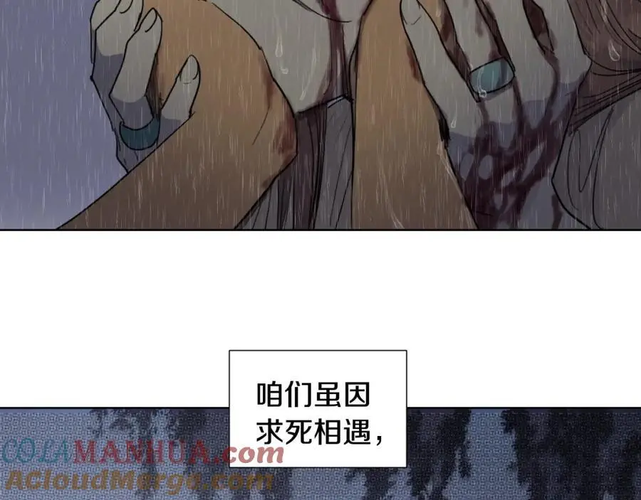 完结篇 她的沈清64