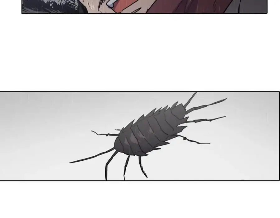 完结篇 她的沈清81