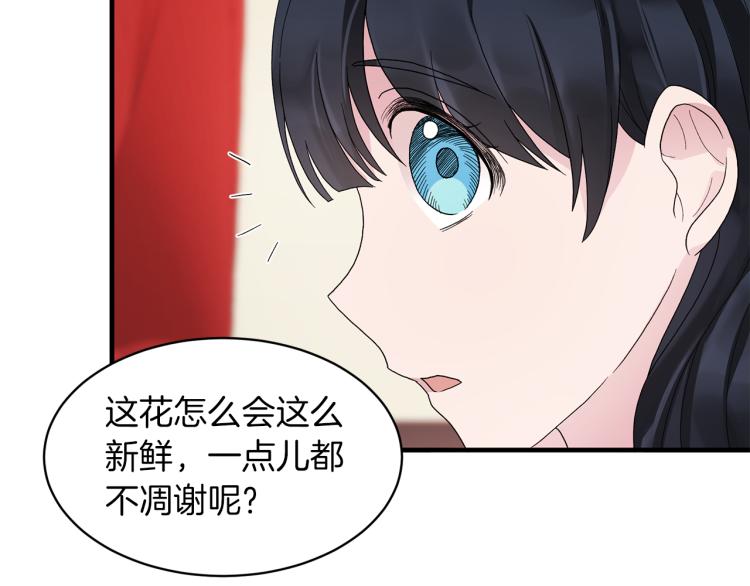 第22话 生日宴会21
