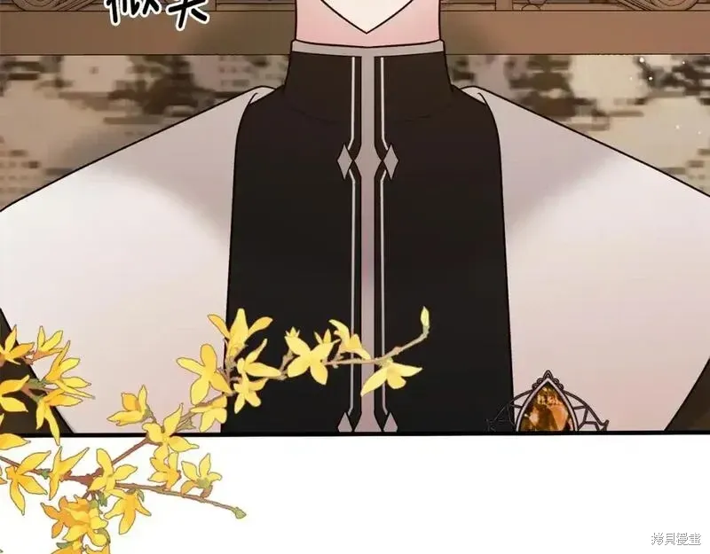 第160话162