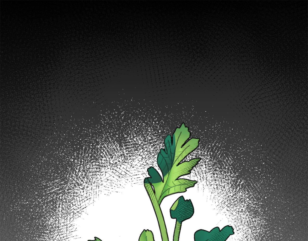 第84话 可疑的药草4