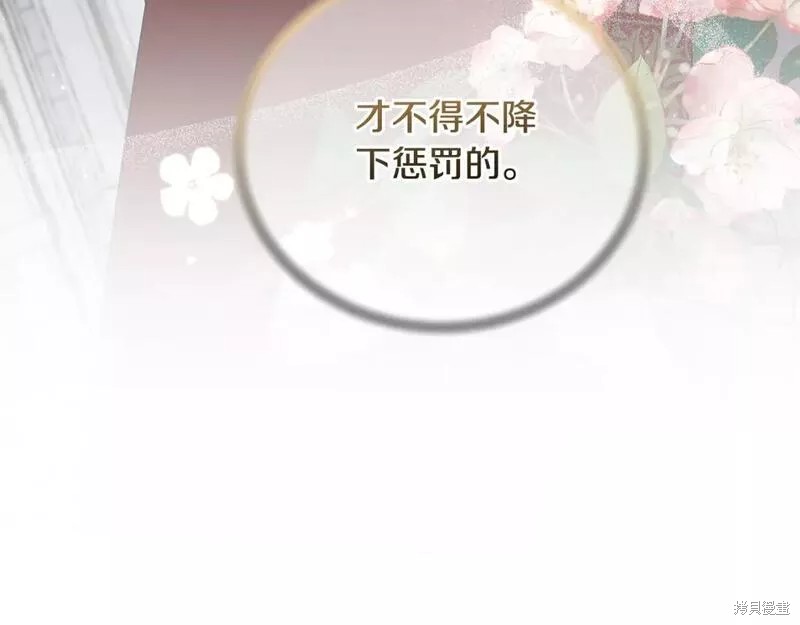 第117话24