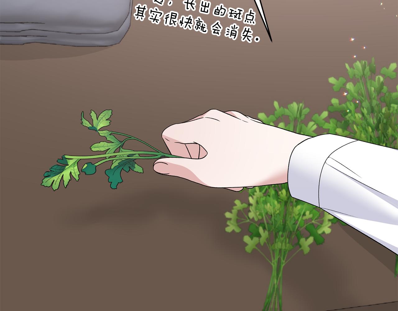 第84话 可疑的药草19