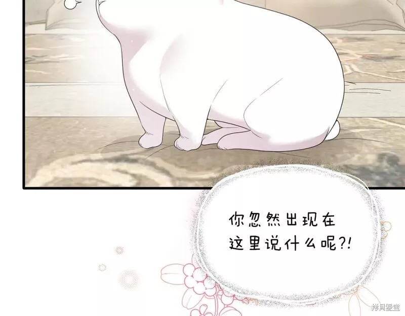 第118话13