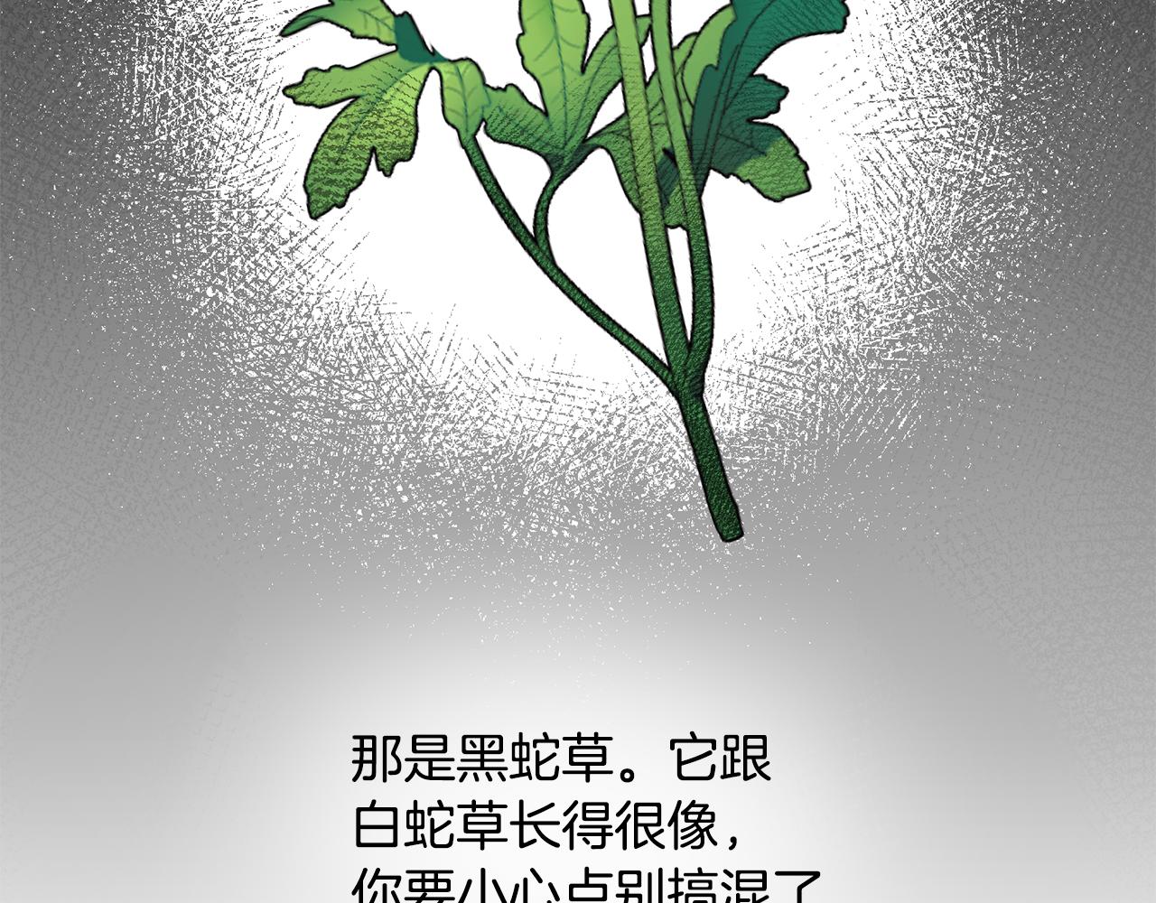 第84话 可疑的药草5