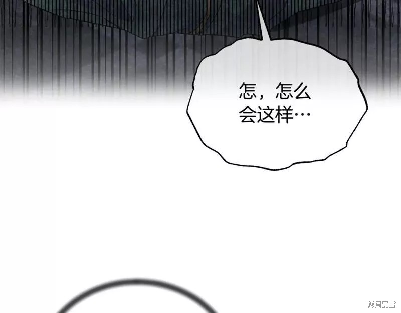第117话17