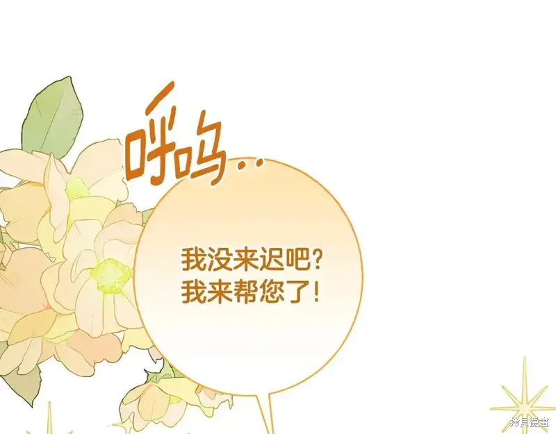 第164话196