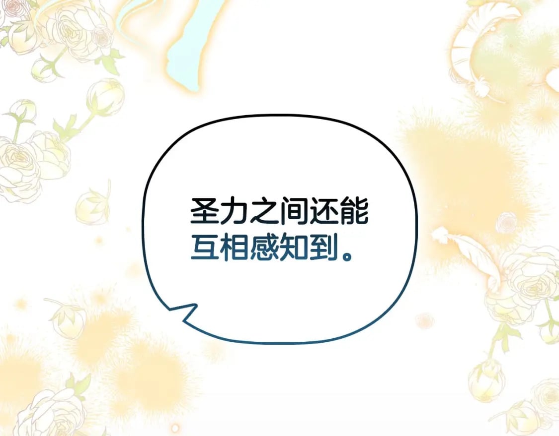 第85话 互相感知的圣力106
