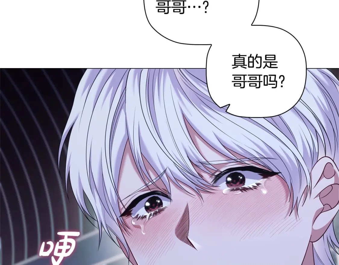 第85话 互相感知的圣力154