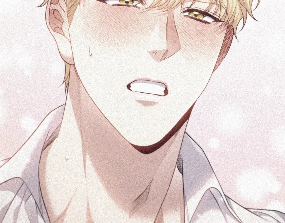 番外2 范也会求婚？！35