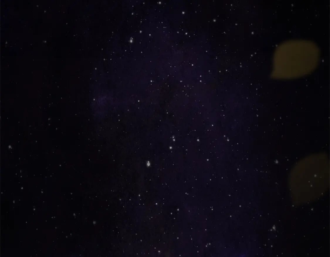 完结篇 恶意生长166