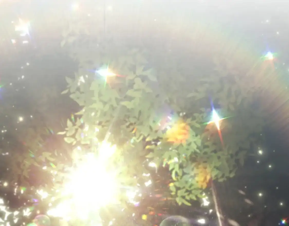 番外完结篇 戳破心意179