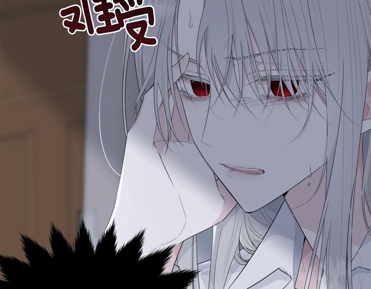 第41话 珍贵14