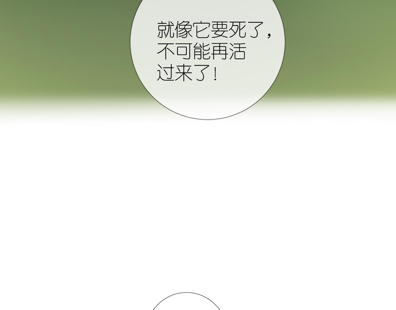 第二季32.许愿树的精灵52