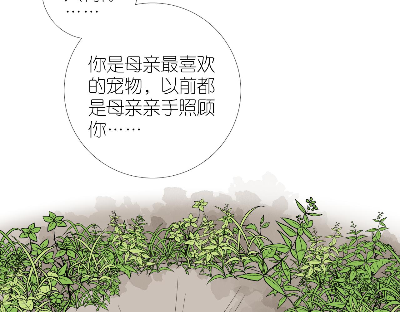 第二季32.许愿树的精灵12
