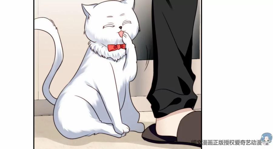 76 被看到了50