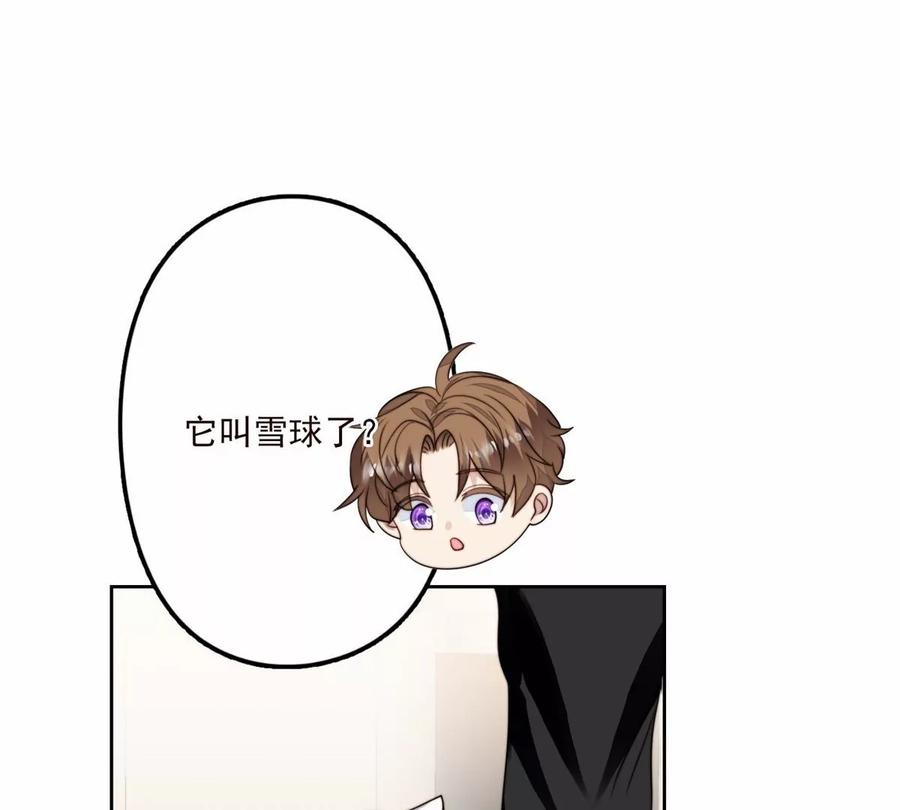 76 被看到了49