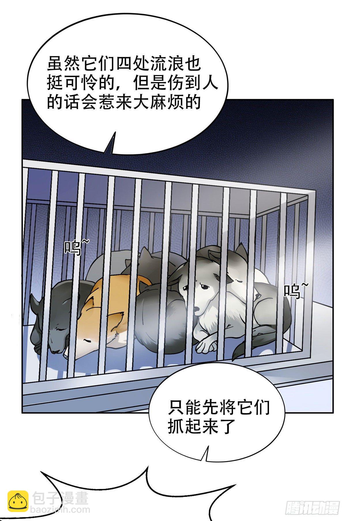 13 我相信你12