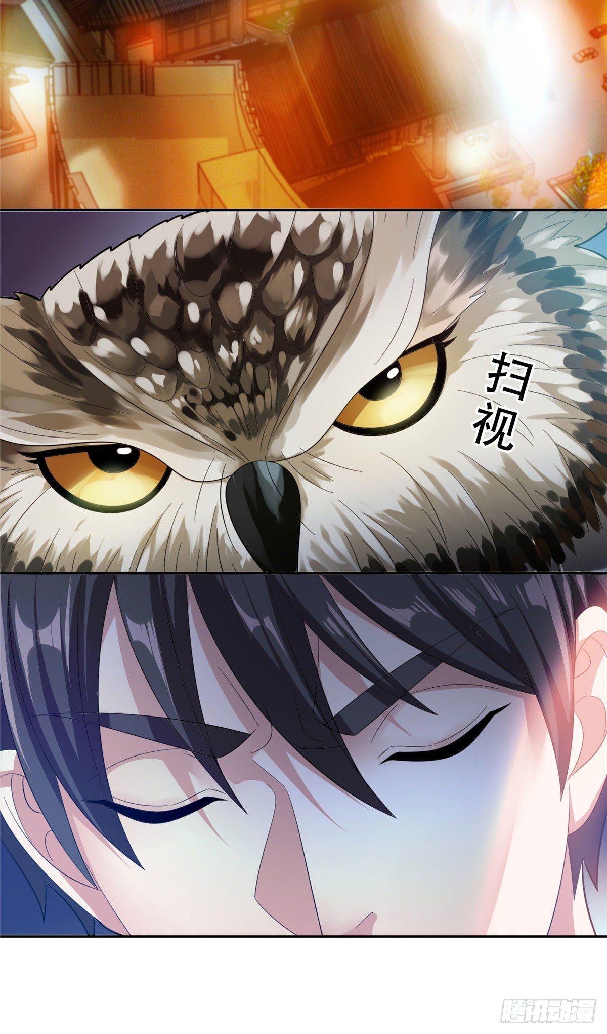 39 你嫌弃？5