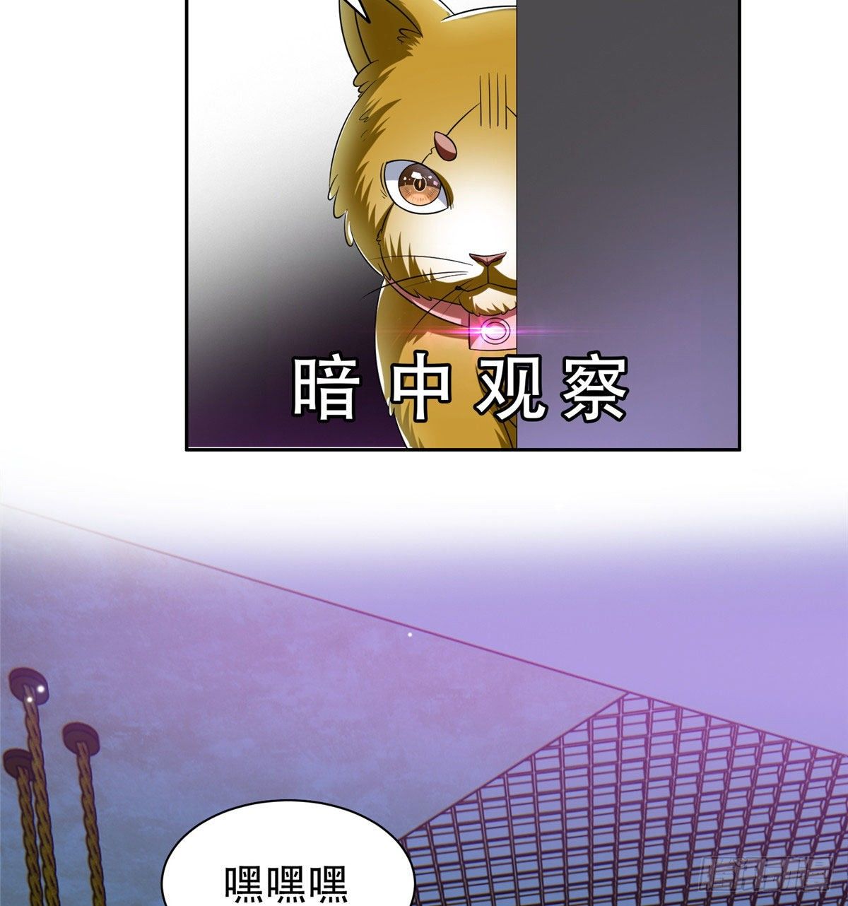 08 暗中观察40