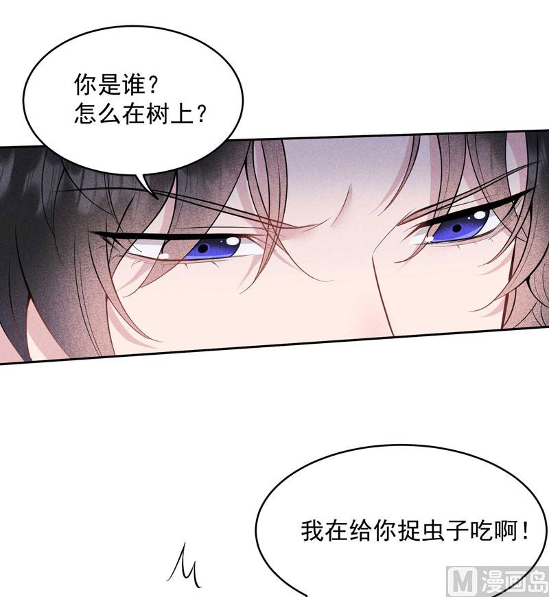 炸毛虫26
