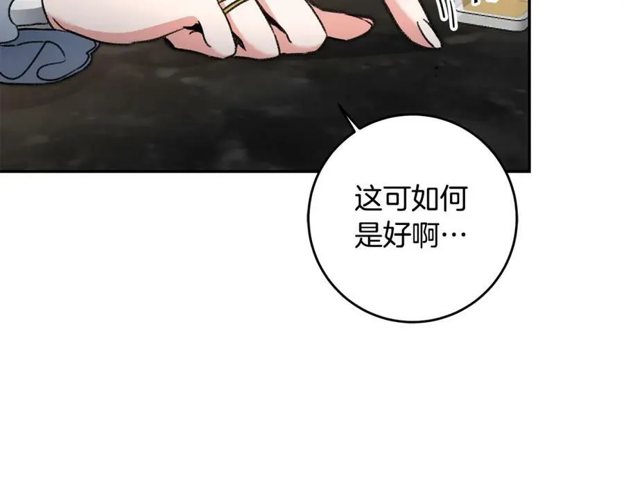 第100话 挑选3