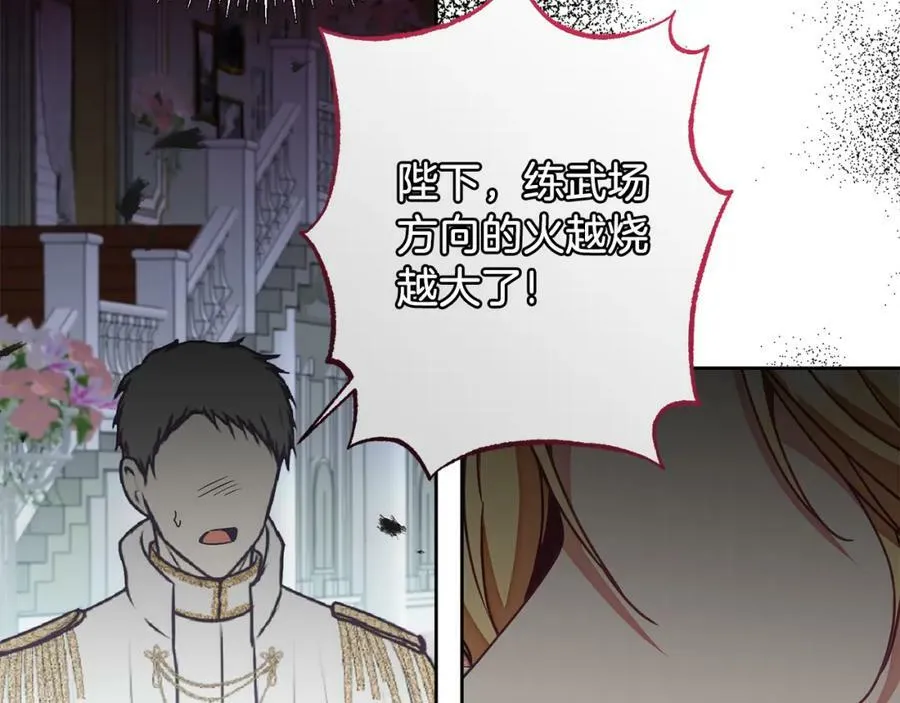 第116话 捕鼠行动17