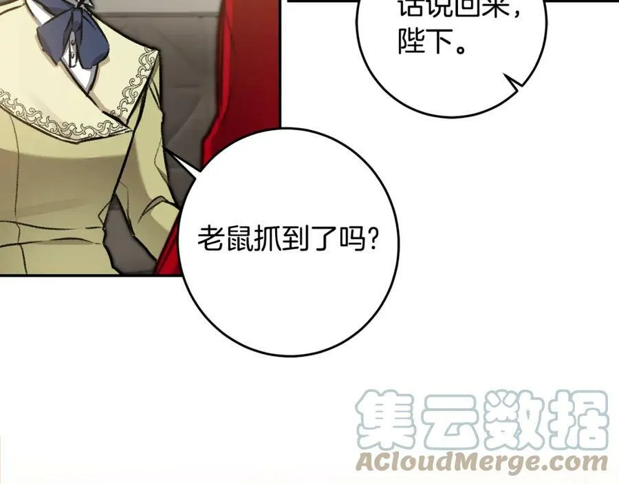 第100话 挑选132