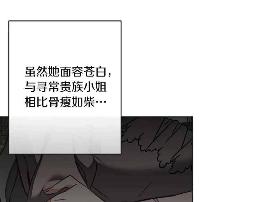 第133话 讨伐叛军30