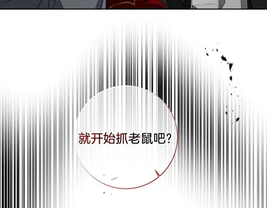 第116话 捕鼠行动27